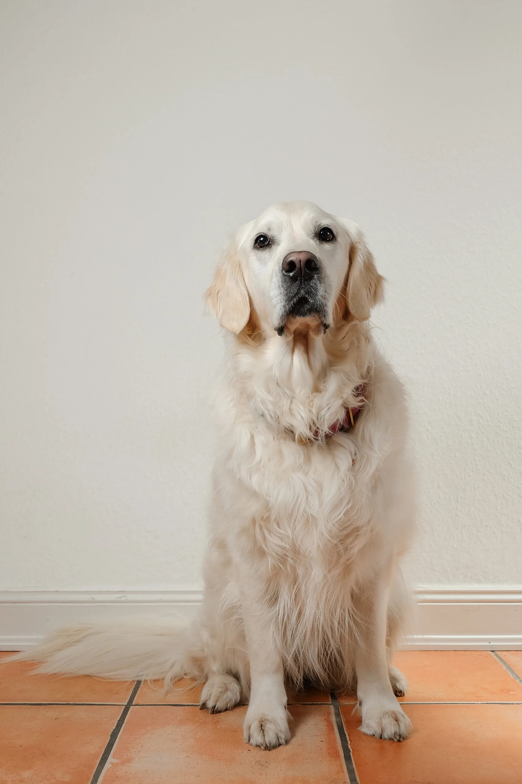 Frau Schere — Bild 4