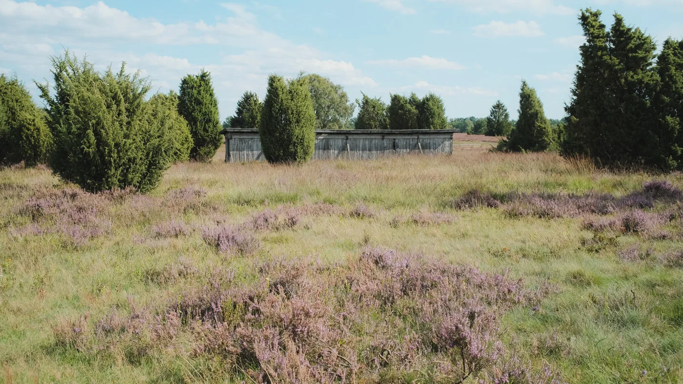Lüneburger Heide — Bild 2