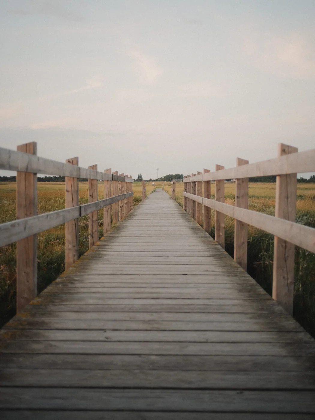 Sankt Peter-Ording — Bild 3