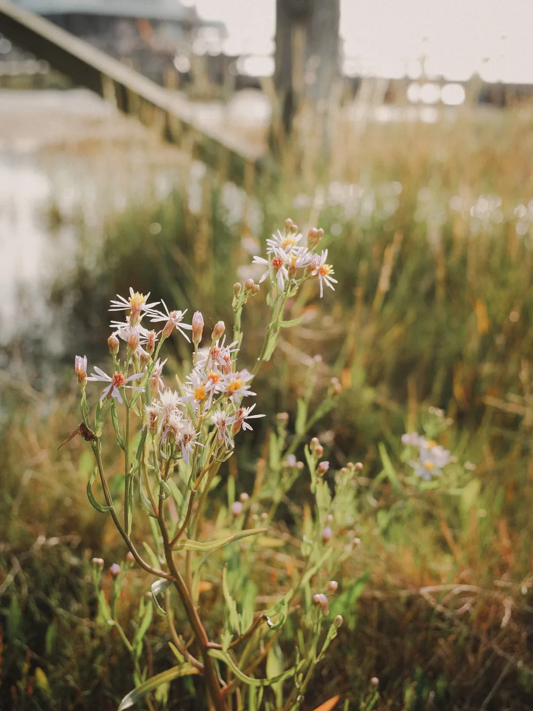Sankt Peter-Ording — Bild 9