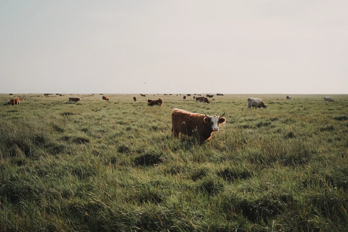 Sankt Peter-Ording — Bild 11